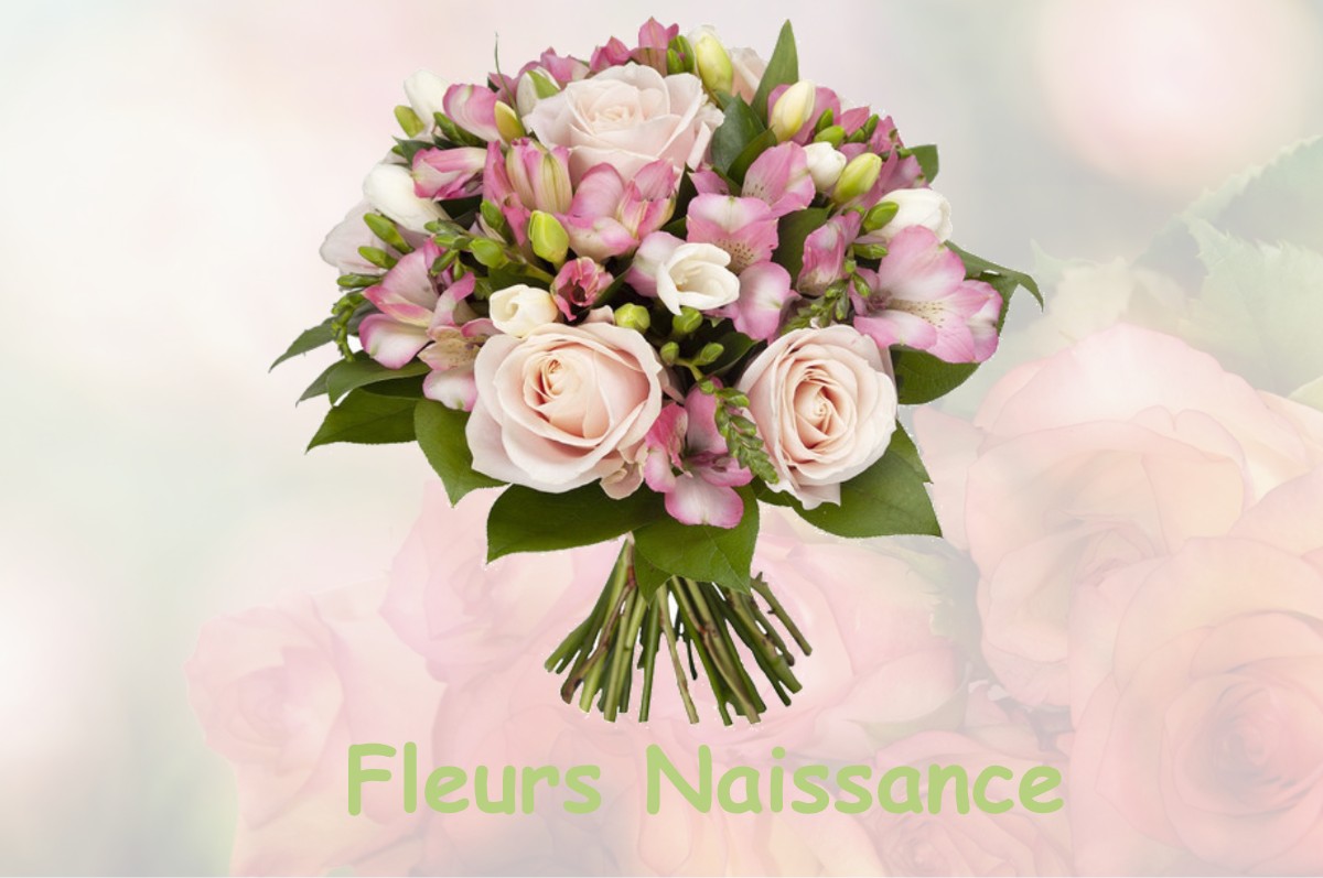 fleurs naissance LA-MAZIERE-AUX-BONS-HOMMES